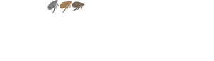 Educated Flea Restaurant